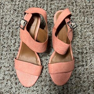 Coral Wedges